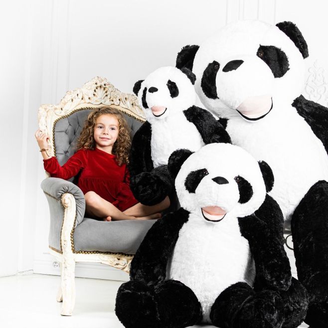 Pandy 🐼 všech velikostí! 😍 #panda #plysovapanda #teddybear #darekzlasky #velkyplysak #plysak #tipnadarek